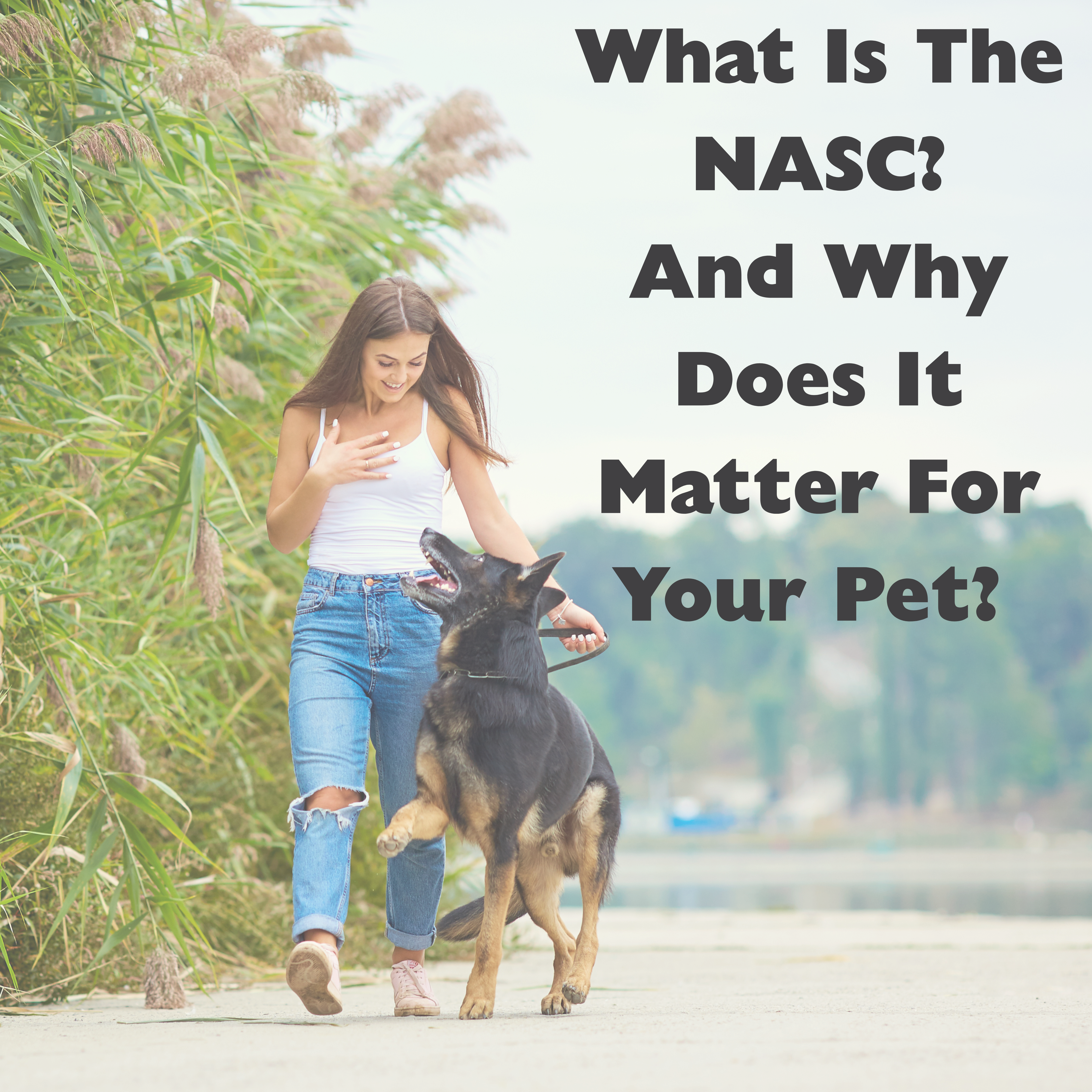 What Is the NASC? And Why Does It Matter for Your Pet?