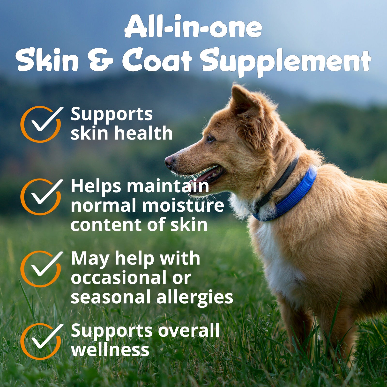 PeakTails Skin & Coat Support for Dogs – MSM, Fish Oil, Omega-3 & Omega-6 – Supports Healthy Skin & Shiny Coat