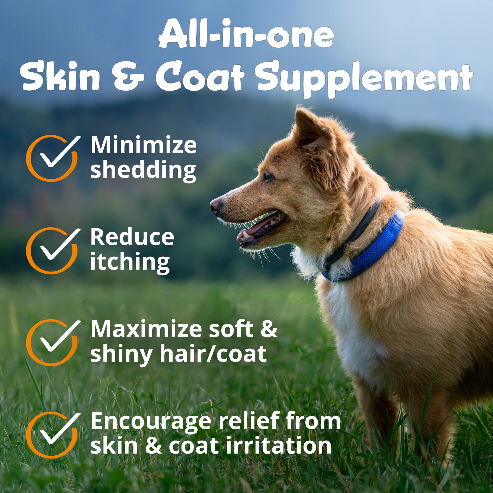 PeakTails Skin & Coat Support for Dogs – MSM, Fish Oil, Omega-3 & Omega-6 – Supports Healthy Skin & Shiny Coat