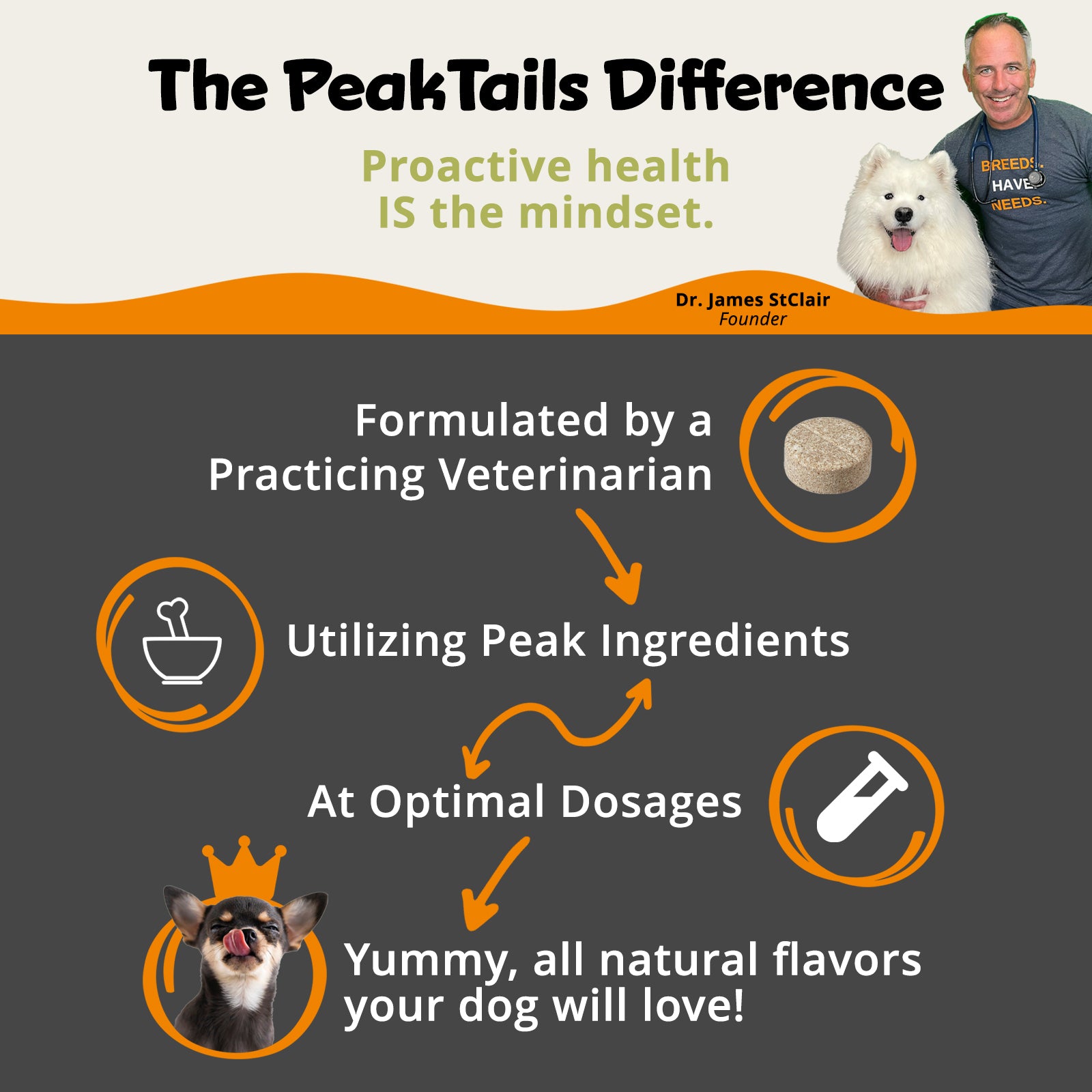 PeakTails Skin & Coat Support for Dogs – MSM, Fish Oil, Omega-3 & Omega-6 – Supports Healthy Skin & Shiny Coat