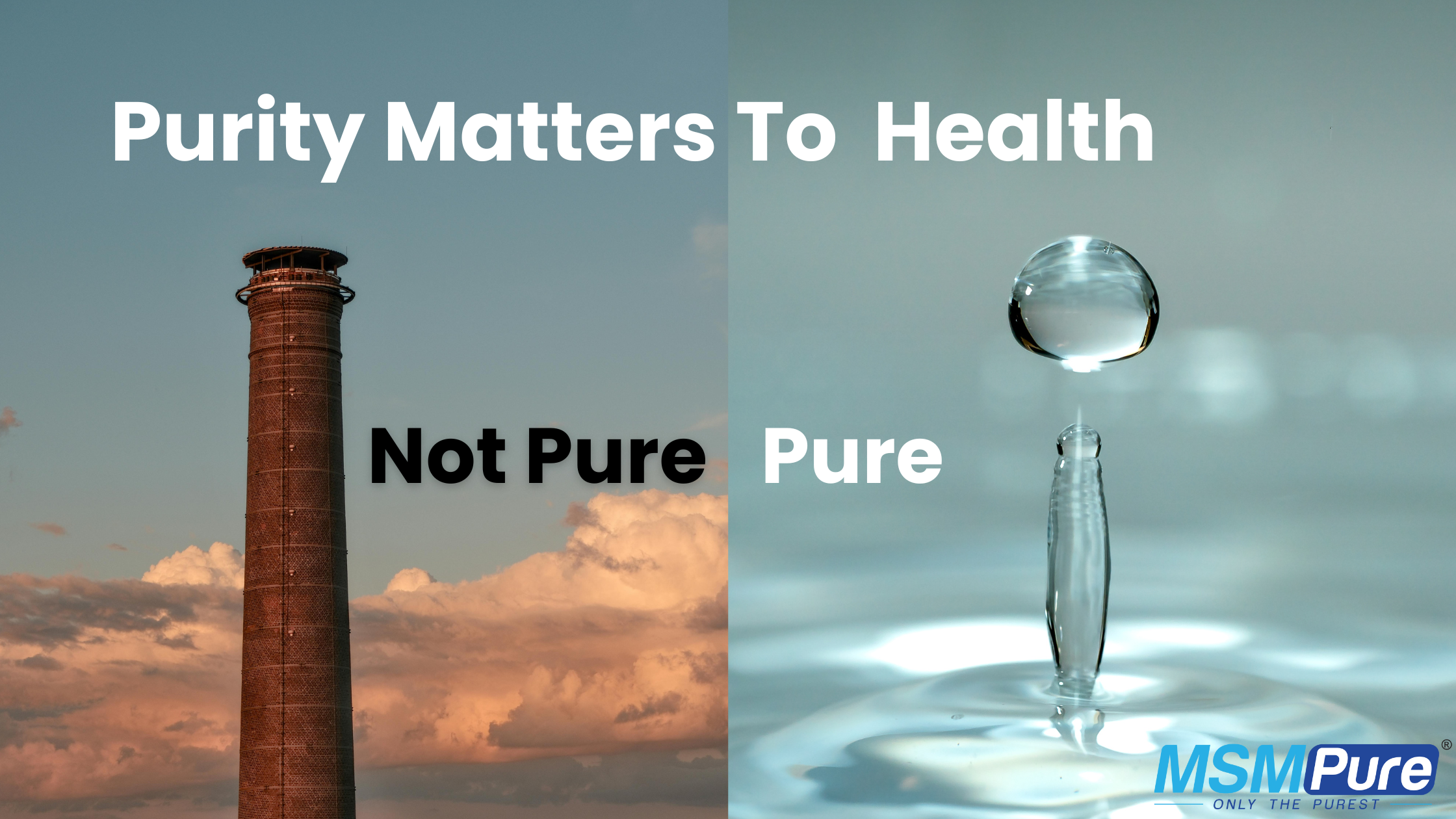 Not All MSM Is Created Equal — And Here's Why