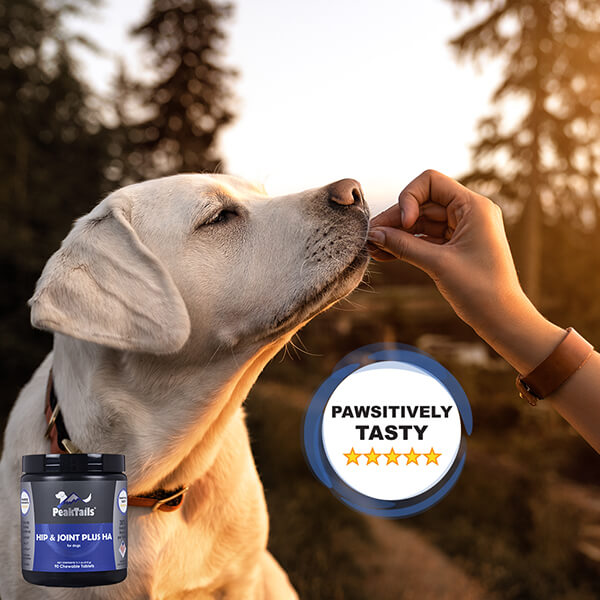 Hip & Joint Plus HA Supplement for your pet