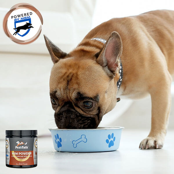 MSM Powder for your pets