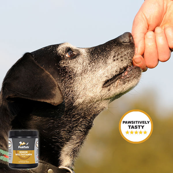 peaktails-senior-multi-geriatric-pawsitively-tasty-600px