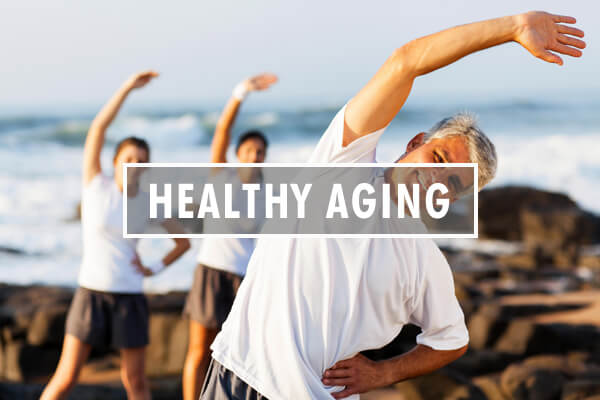 MSM for Healthy Aging