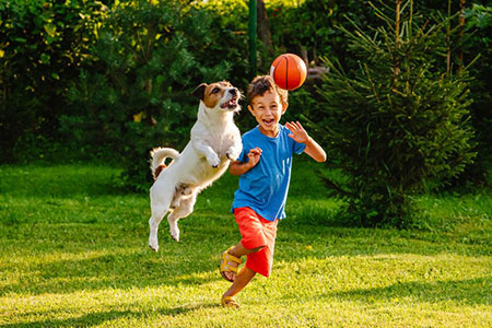 boy playing ball with dog