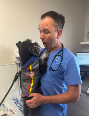 dr james stclair with dog patient