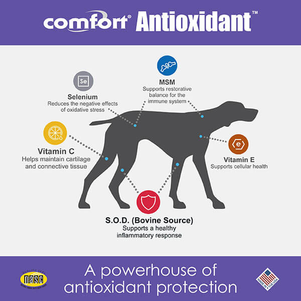 Comfort Antioxidant Supplement for Dogs