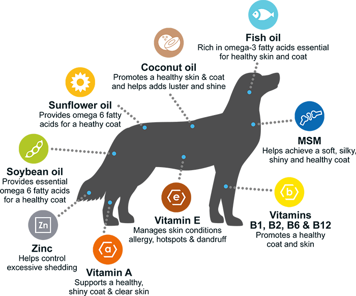 Comfort DermGard Infographic