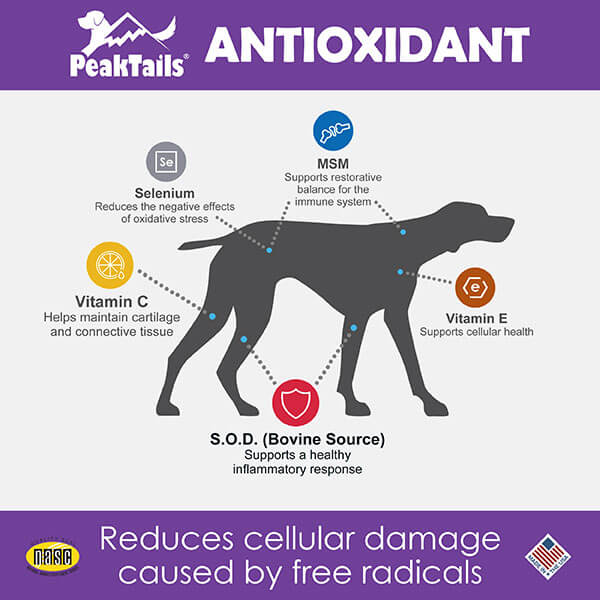 PeakTails Antioxidant Supplement for Dogs Infographic