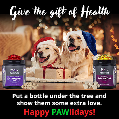 Happy PAWliDays! Give the gift of health!