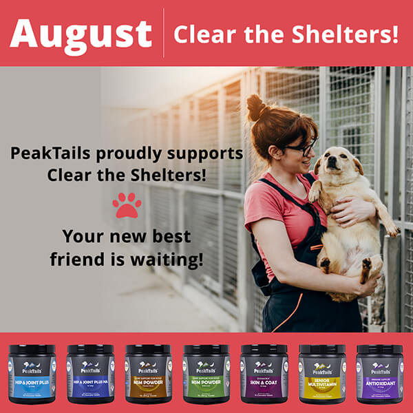 Clear the Shelters month