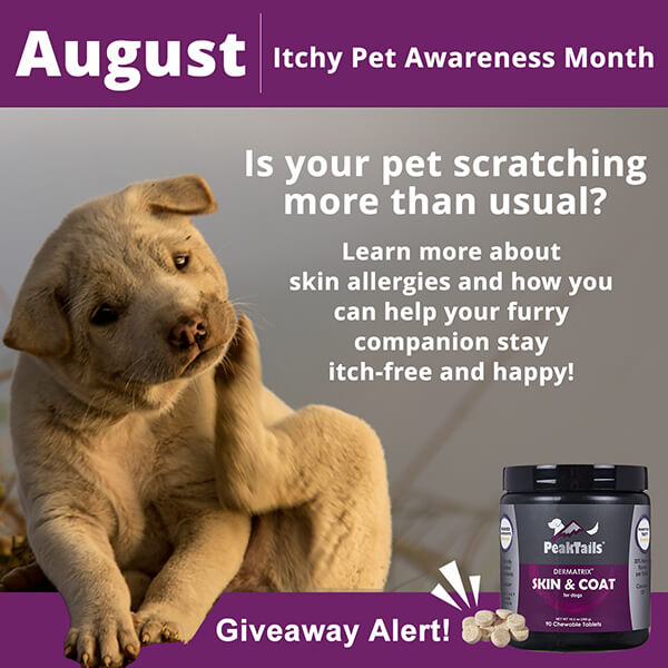 Itchy Pet Awareness month