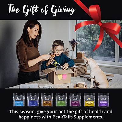 Make Pets Part of Your Gift-Giving This Christmas! 