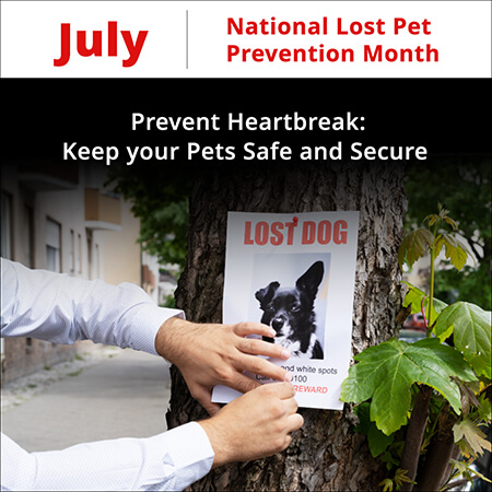 Lost Pet Prevention Awareness Month