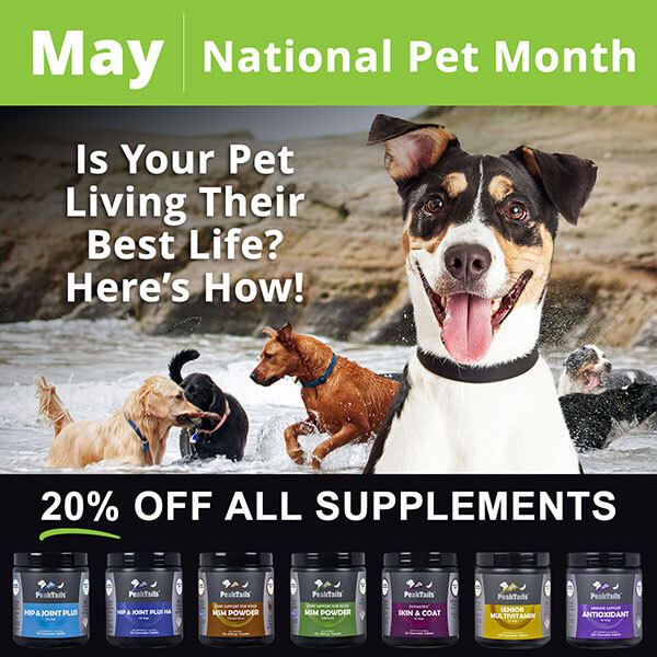 May National Pet Month 
