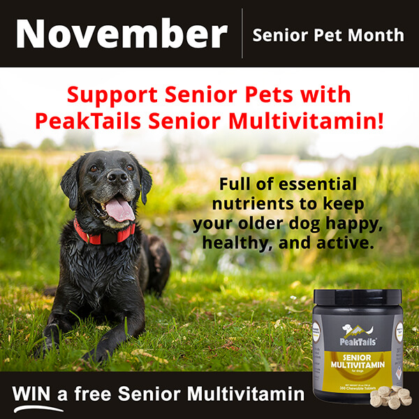 Celebrate Senior Pet Month with PeakTails