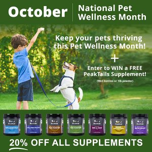 National Pet Wellness Month