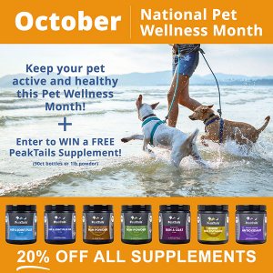 National Pet Wellness Month