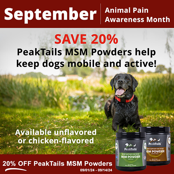 September is Pain Awareness Month