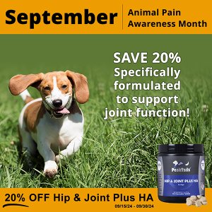 September is Pain Awareness Month