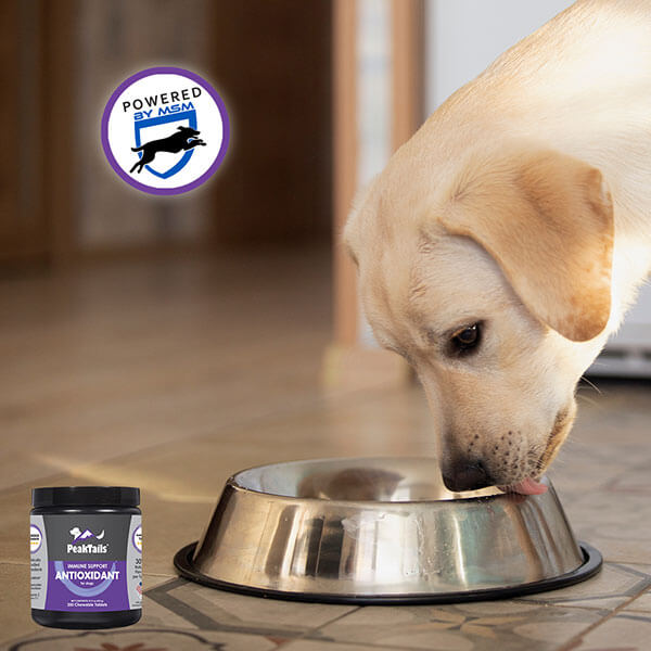 PeakTails Antioxidant Supplement for Dogs Tasty
