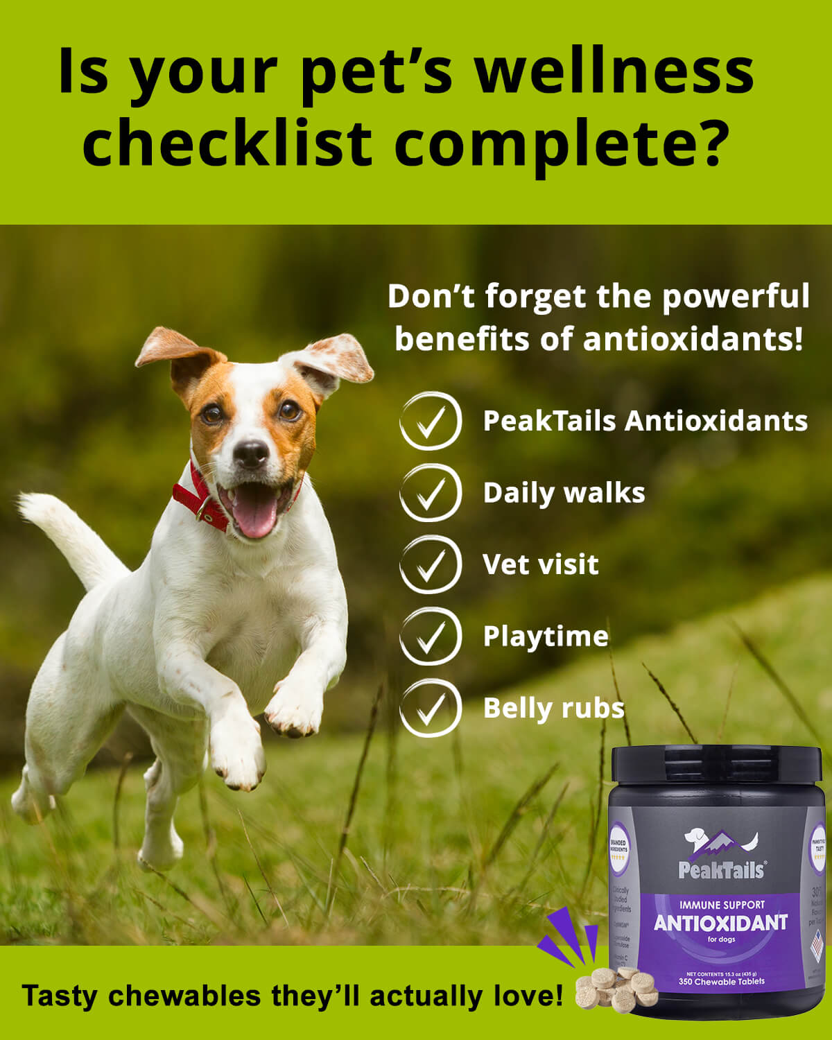 Add PeakTails Antioxidant to Your Pet’s Wellness Checklist!