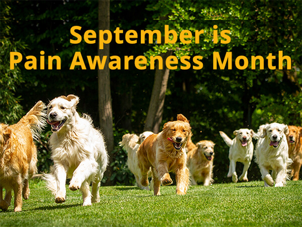 September is Pain Awareness month